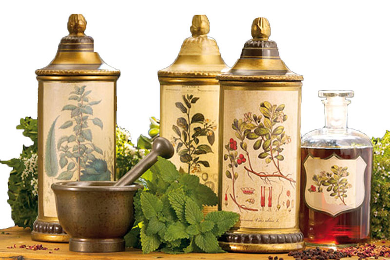 انواع گیاهان دارویی